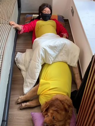 地上太冷了,还是睡床上舒服暖和一点#萌宠 #萌宠出道计划 #狗狗 #搞笑
