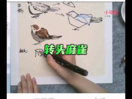 转头麻雀画法#国画学习笔记