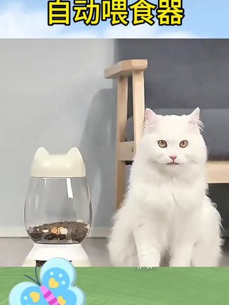 #自动喂食器 #猫咪自动喂食器 #猫碗食盆猫粮自动喂食器#饮水机宠物狗碗狗盆水碗猫咪饭碗喝水饭盆