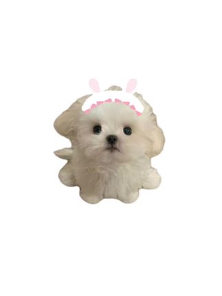 #抓夹