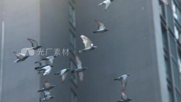 #原创视频 苏州中析精密制造有限公司
#仪器设备