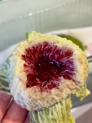 天冷了,又到了吃无花果的季节了#无花果 #糖包子无花果 #新鲜应季水果 #助力三农 #新农人计划