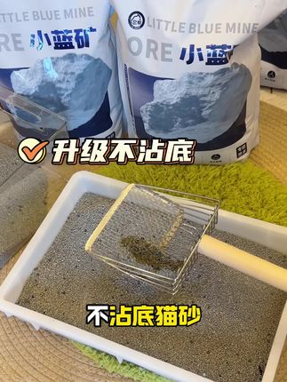 升级款小蓝矿猫砂,家里没有任何异味,结团效果也超好!#养猫人 #猫砂推荐 #萌宠好物 #小蓝矿猫砂