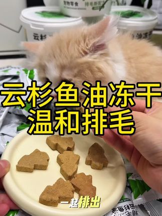 养猫家庭真的可以备上这个#云杉排毛冻干#宠物用品 #猫零食 #猫咪掉毛 #萌宠好物