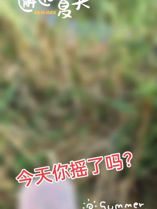 今天你摇了吗?夏日钓鲫鱼必选摇三摇!#好物推荐🔥 #好东西一起分享 #鱼获满满 #野钓鲫鱼#摇三摇