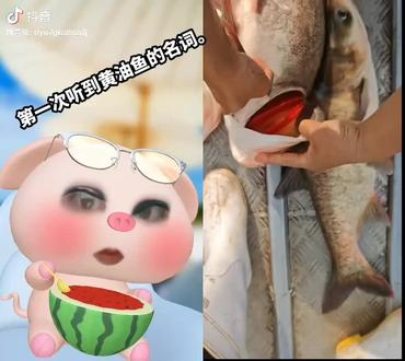 来于抖音如有侵权联系删除