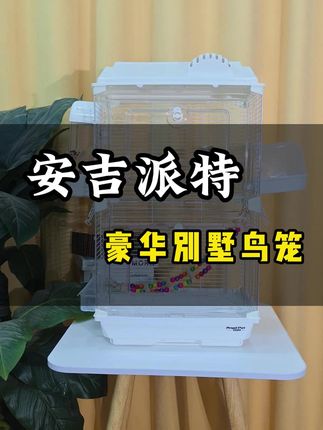 家里养鹦鹉?这个豪华鸟笼让你省心又舒心! 养鸟必备!这款宠物笼不仅好看还实用,快来看看吧~#安吉派特 #安吉派特鸟笼 #安吉派特豪华别墅笼 #安吉派特鹦鹉笼 #安吉派特精致鸟笼