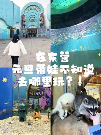 元旦假期你准备好了吗!#东营旅游 #2025回家过年的第一批人