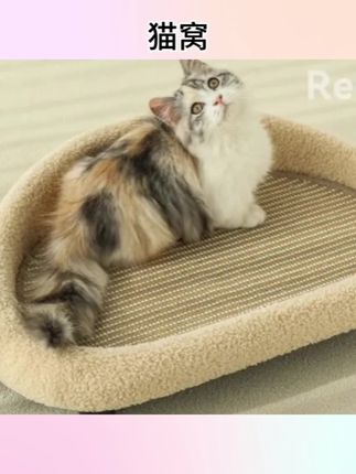 猫窝猫抓板一体耐磨不易掉屑猫抓一体四季通用猫咪蹭痒器麻绳剑麻#猫抓板 #宠物好物 #磨爪器 #宠物好物分享 #猫窝推荐