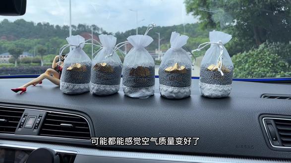 甲醛的危害不容忽视,车上常放几袋能持续净化空气#新车除甲醛去异味 #汽车除异味 #汽车除甲醛 #夏日必备#汽车好物