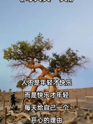 人不是年轻才快乐,而是快乐在年青灬#这叫宽容 #人生感悟深刻 #璟点集团台球产业园