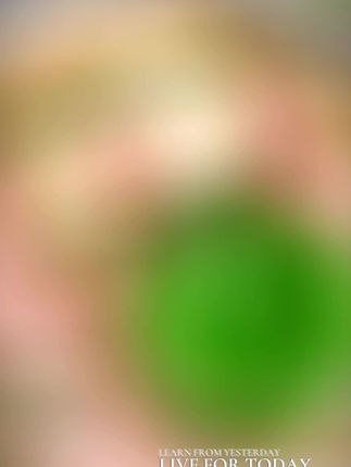 三七柿叶膏猪油版植物萃取抗皱紧致提亮肤色改善暗沉滋养保湿面霜