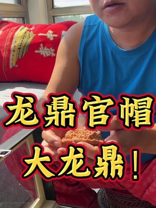 #文玩核桃知识科普 #文玩爱好者 #文玩发烧友 #文玩人 #盘它