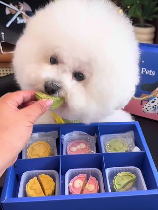 2025中秋节毛孩子也有自己的专属月饼吃了#中秋节#宠物月饼