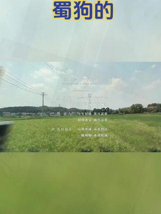 #82年的狗 #94年的狗 #70年的狗 #生肖狗 #属狗