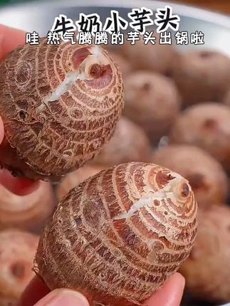 【蜜海严选】山东奶心小芋头4.5斤香糯绵滑肉质细腻奶香新鲜 #好物分享 #热门推荐 #爆款