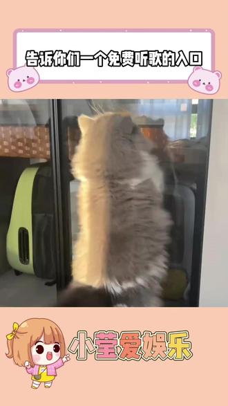 告诉你们一个免费听歌的入口 #番茄音乐