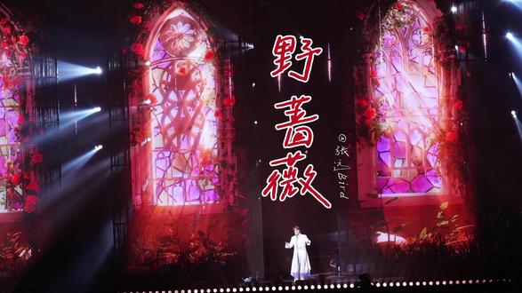 曲目9.野蔷薇 #张远#演唱会 7.6日北京场