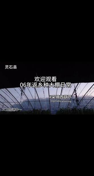 06年小伙返乡种大棚的日常来啦!镜头里都是实打实的大棚劳作,灵石县的家人,想来体验摘西葫芦的,评论扣【大棚】我发地址~#00后返乡创业 #灵石县大棚采摘