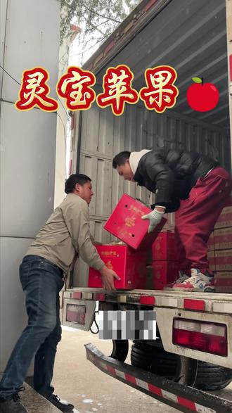 保证只卖真正的寺河山苹果,寺河山苹果皮薄汁水多,运输难免造成微小磕碰,还请大家多多包涵,我们绝不会给大家发出坏果烂果!#灵宝寺河山苹果 #寺河山苹果 #红富士苹果 #脆苹果 #石塬红