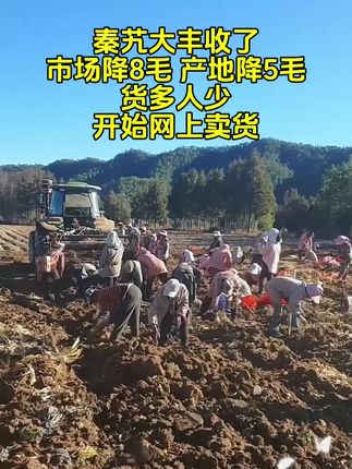 云南秦艽#秦艽#支持三农扶持三农发展#抖音助农