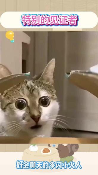 特别的见证者#多闪App#小火人AI聊天#多闪