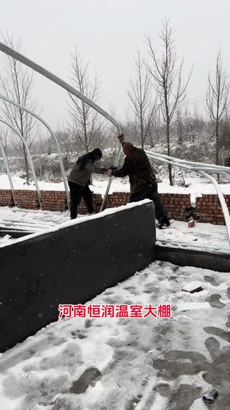 养殖大棚猪棚插墙骨架安装方法!#新型养殖养殖大棚#三农 #农村创业养殖 #养猪人