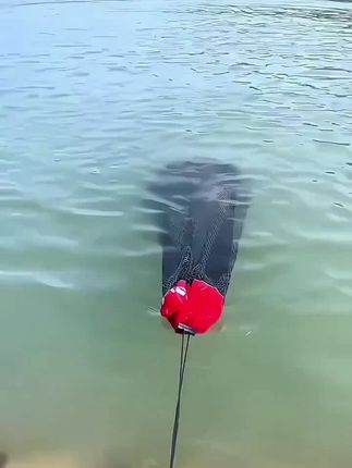 溪流钓小形鱼护方便携带