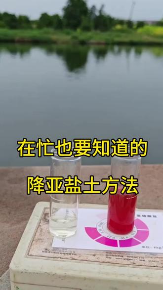 水产人一定要知道的降亚盐绝招#南美白对虾 #小棚养虾 #高密度养殖 #鱼虾蟹养殖 #水产养殖技术