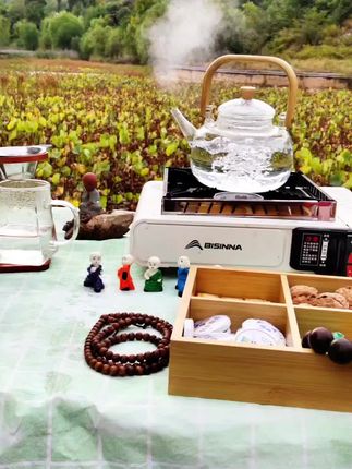 #茶叶 #喝茶 #茶 #泡茶 #陈皮普洱怎么泡