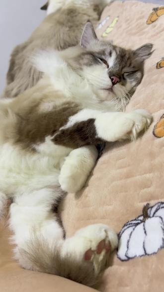 爱的桥段 教我怎么写