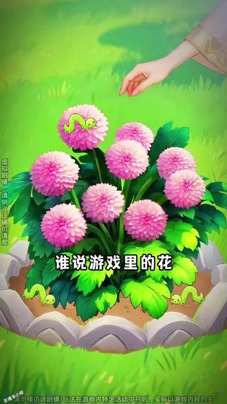 种出快乐,开出幸福 #我的花园世界