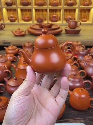 思婷壶#茶生活 #今日分享