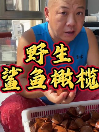 巴布亚野生鲨鱼橄榄#文玩爱好者 #文玩核桃 #文玩手串 #橄榄核