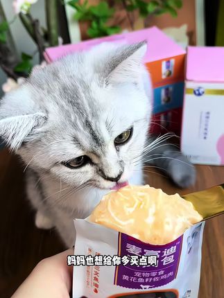 麦富迪浓汤鸡丝肉肉包,大猫小猫都爱吃,补水又解馋#科学养宠 #好吃到停不下来 #萌宠好物 #麦富迪#双11拿捏大全