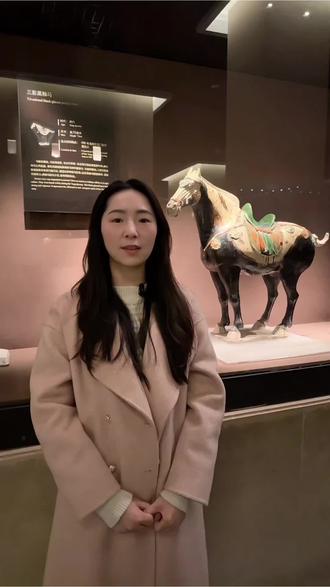 马年说马 马到成功 所有的美好都“马”上发生🎉🎉
四蹄踏雪,踏碎旧岁霜雪;
一马平川,奔赴锦绣前程。
盛唐黑釉,一马当先。🐎
#洛阳 #春节 #导游讲解 #博物馆 #历史