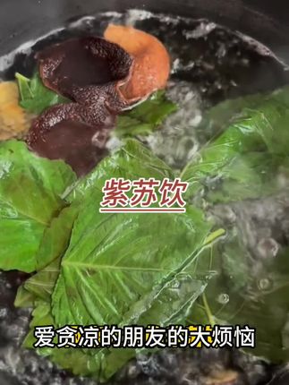 紫苏陈皮甘草三伏天经常喝汤,你们知道有什么好处吗?#紫苏饮 #紫苏陈皮 #紫苏陈皮水 #紫苏陈皮红糖水 #紫苏陈皮瘦肉汤