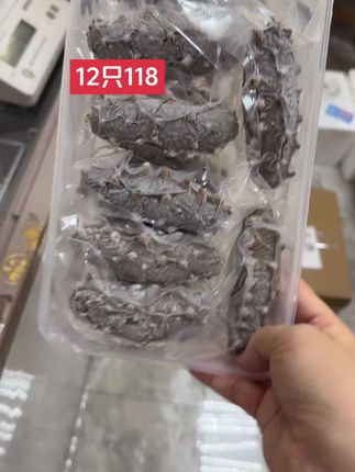早安,每日一参#海参