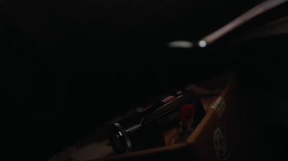 一直再说的烟花,这里是不是解答了,最后普普说:在我眼中,你是秘密#云熠星河#云旗#郝熠然