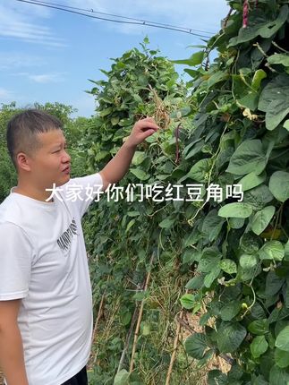 菜园里现在什么菜秧子都开始长了#我的乡村生活 #这就是农村的生活 #抖音美食推荐官 #同城优先推荐 #同城热点 @DOU+小助手 @DOU+上热门
