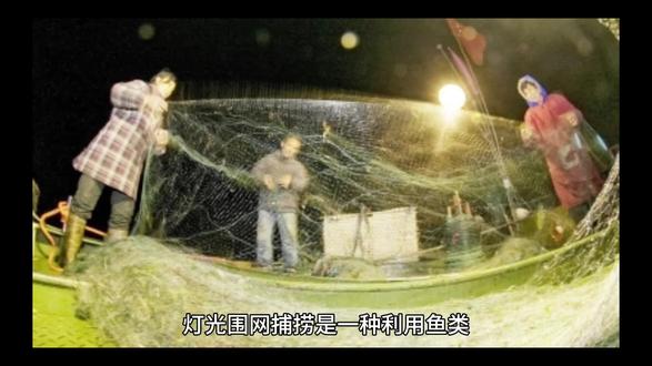 灯光围网捕捞的优缺点