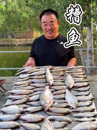 今天做一大锅糟鱼,不去鳃,不刮鳞,焖一夜,刺都面了#我的农村生活 #糟鱼 #农村美食 #新农人计划#抖音商城