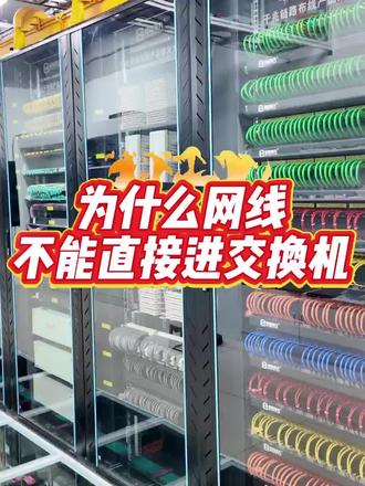 为什么网线不能直接进交换机#交换机#网线#弱电工程#弱电