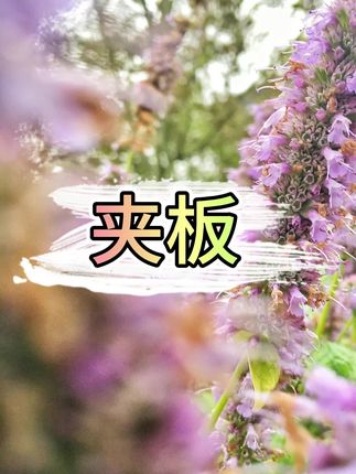 #夹板 #直板夹 #直夹板