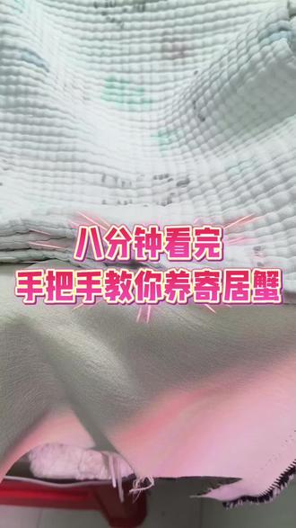 不知道大哥能不能刷到我😏#寄居蟹怎么养#寄居蟹饲养箱造景 #寄居蟹新手入门 #创作者扶持计划