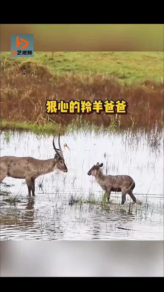 #上热门 @DOU+小助手