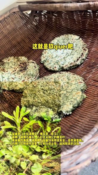 #上热门 用一种草 带你解锁春日限定美食,植株你们那也有吧?快来学!#春日美食大赏 #鼠曲草饼 #麻城美食 #农村绿色食品