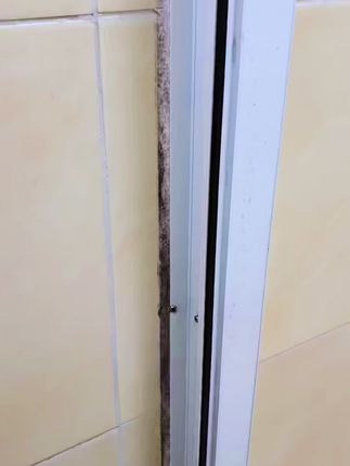 【除霉神器】家里各种胶条渗透的霉斑霉点、洗手台、窗台、马桶、浴室、冰箱、洗衣机发霉都可以使用,效果看得见#好物推荐🔥 #清洁神器 #强烈推荐 #实用好物 #实用分享