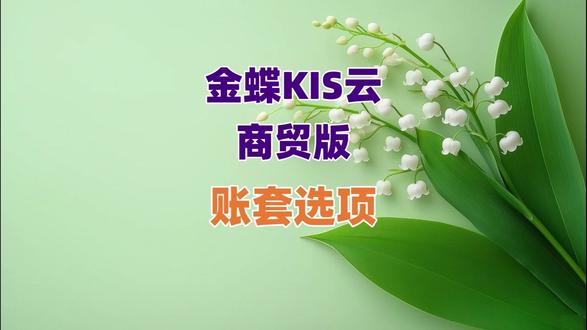 金蝶kis云商贸版账套选项 #金蝶kis云商贸软件 #金蝶kis云商贸下载 #金蝶kis云商贸系统 #金蝶kis云商贸安装 #金蝶kis云商贸软件使用