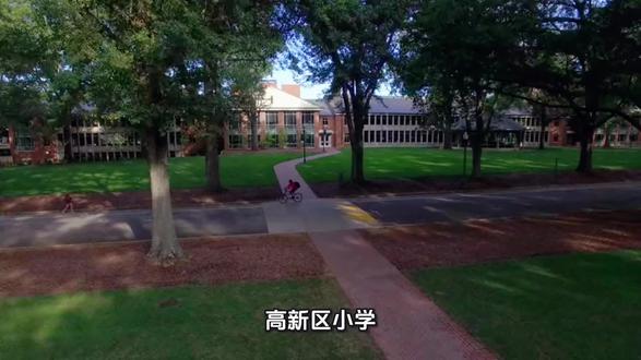 高新区中小学排名#教育 #涨知识